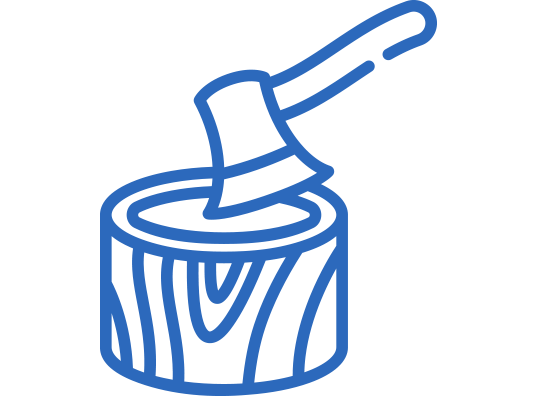 Extracción del corcho