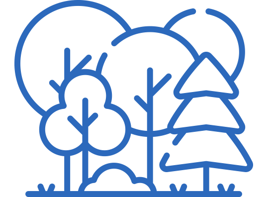 Actividad forestal Actividad forestal