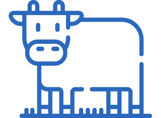 Actividades agrícolas y ganaderas Actividades agrícolas y ganaderas