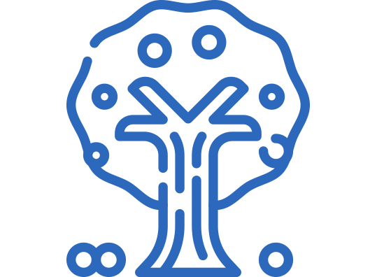 Poda de encinas y alcornoques