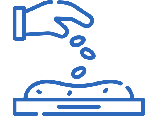 Siembra y reforestación de sus fincas